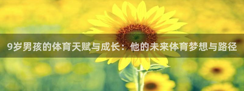 劲球体育视频