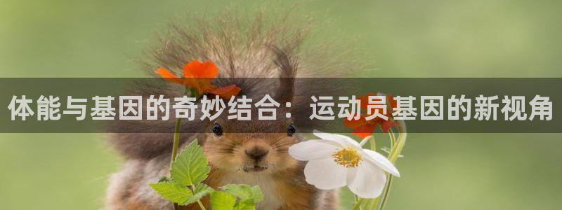 劲球体育app官网入口下载安装