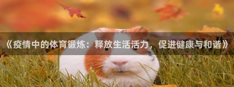 nba直播劲球体育：《疫情中的体育锻炼：释放生活活力，促进健康与和谐》