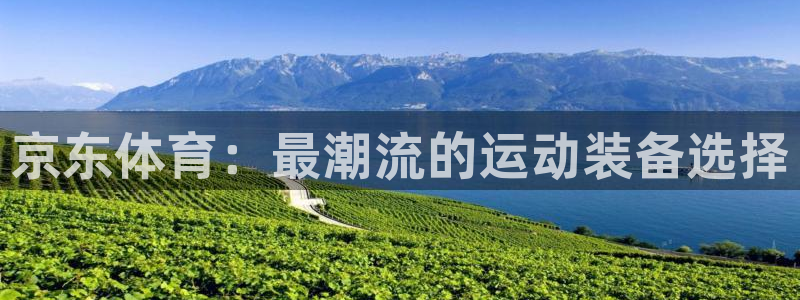 劲球体育在线直播NBA：京东体育：最潮流的运动装备选择