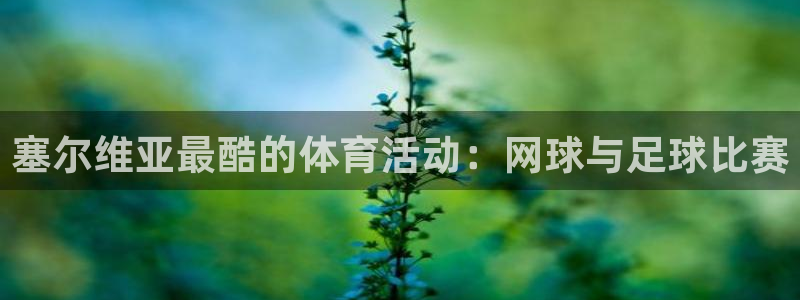 关键词：塞尔维亚最酷的体育活动：网球与足球比赛