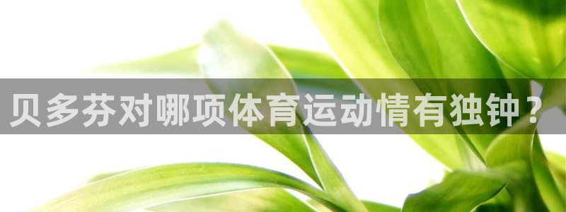 劲球体育赛事直播