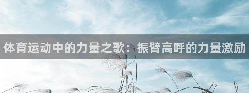 劲球体育频道在线直播