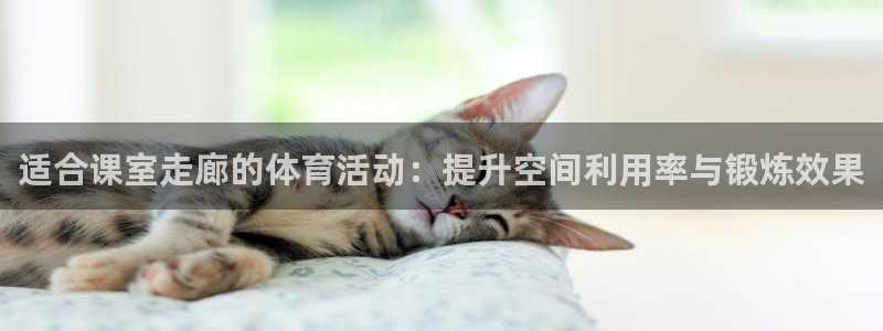 劲球体育赛事直播