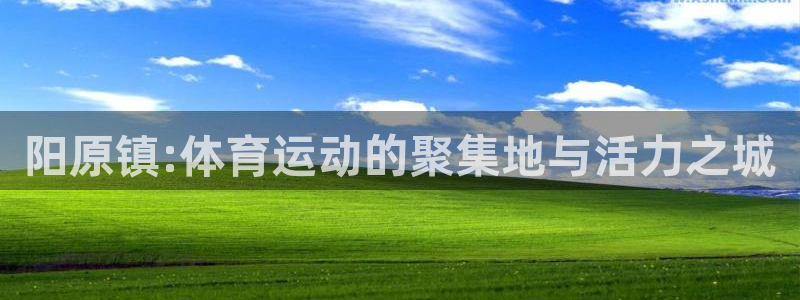 劲球体育免费观看高清中超