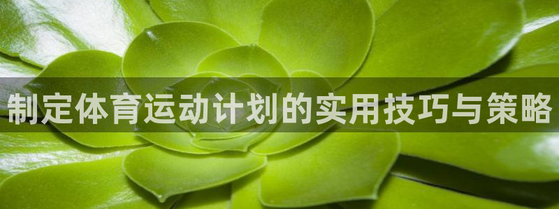 劲球体育在线观看