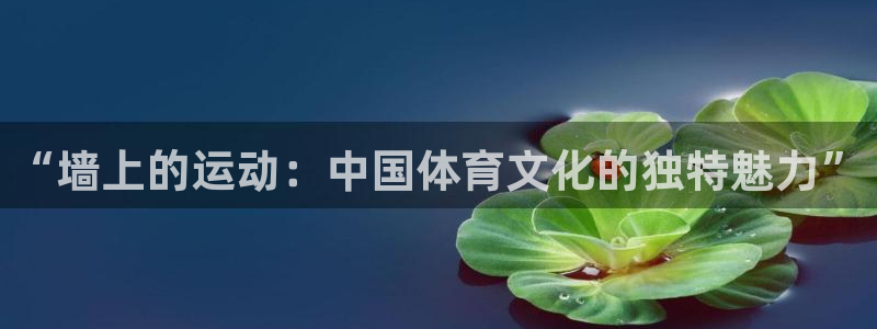 劲球体育免费观看高清视频篮球团团直播
