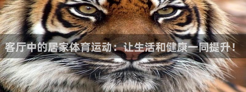 劲球体育在线直播NBA