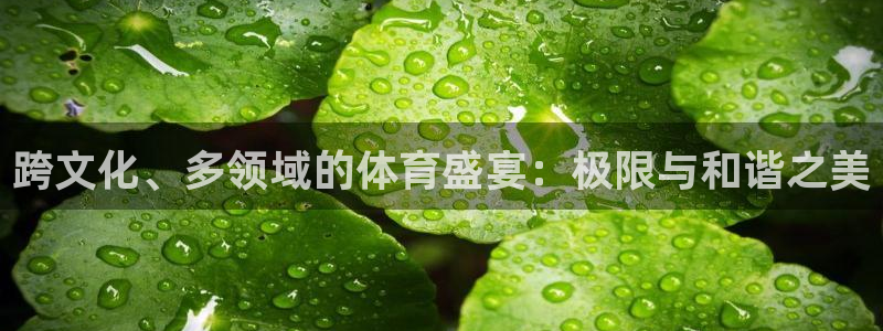 劲球体育免费直播NBA